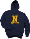 Newtown CT Hoodie