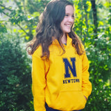Newtown Hometown Hoodies (multiple colors available)